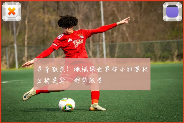 争夺激烈!橄榄球世界杯小组赛积分榜更新,形势胶着