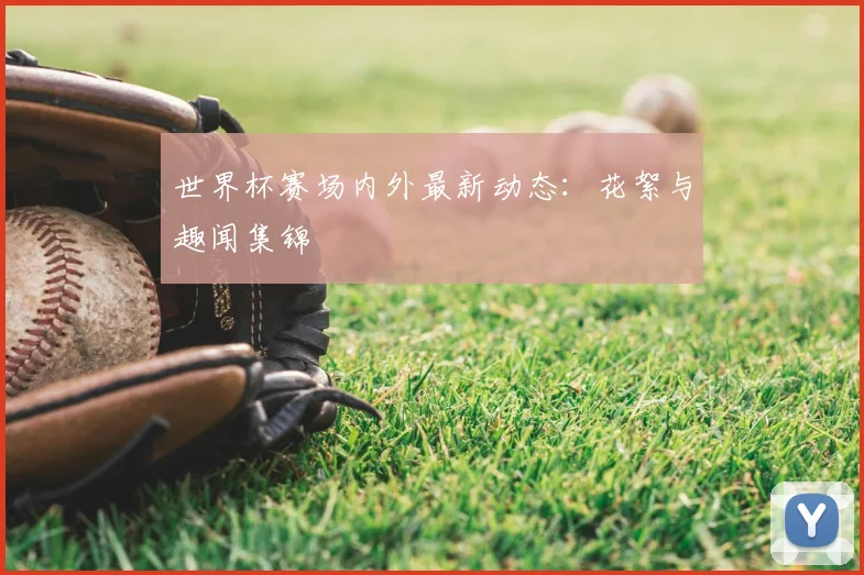 世界杯赛场内外最新动态:花絮与趣闻集锦