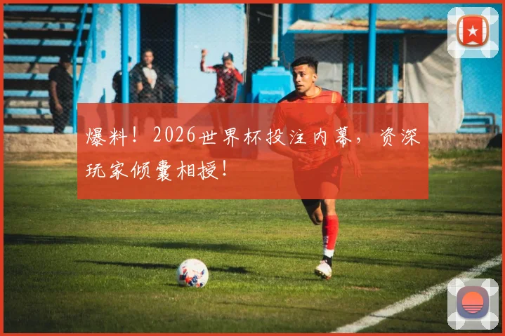 爆料!2026世界杯投注内幕,资深玩家倾囊相授!